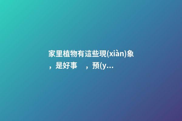 家里植物有這些現(xiàn)象，是好事，預(yù)示你家要發(fā)大財了！